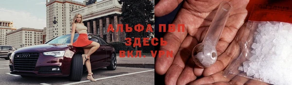 гашик Абаза