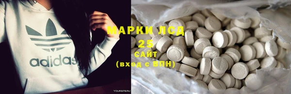 мет Алексин