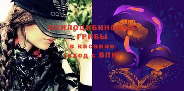 гашик Абаза
