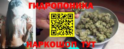 jwh Рузаевка