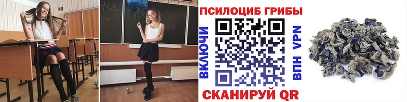 blacksprut маркетплейс  Сухой Лог  Галлюциногенные грибы Psilocybine cubensis 